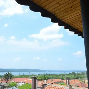 Amazonia Varna